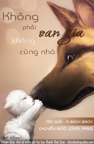 Không Phải Oan Gia, Không Chung Nhà