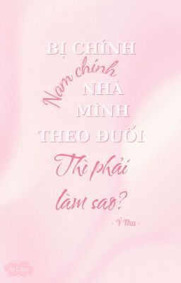 Bị chính nam chính nhà mình theo đuổi thì phải làm sao?
