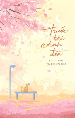 Trước khi anh đến