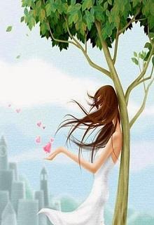 Bản Tình Ca Buồn