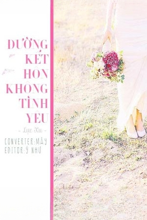 Đường Kết Hôn Không Tình Yêu